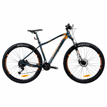 Biciclete mountain bike (MTB) - Bicicleta Mtb Devron 2023 RM2.9 - 29 Inch, L, Gri