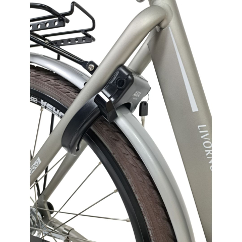 Bicicleta Oras Stella 28080 - 28 inch, L, Gri [4]