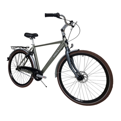Bicicleta Oras Stella 28081 - 28 inch, L, Gri [1]