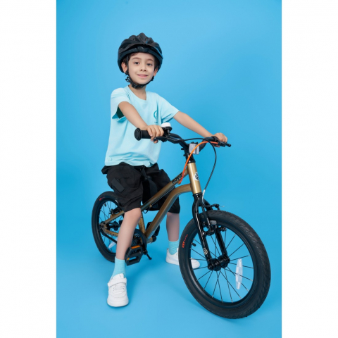 Bicicleta Royal Baby Kable-Belt 16 Golden [6]
