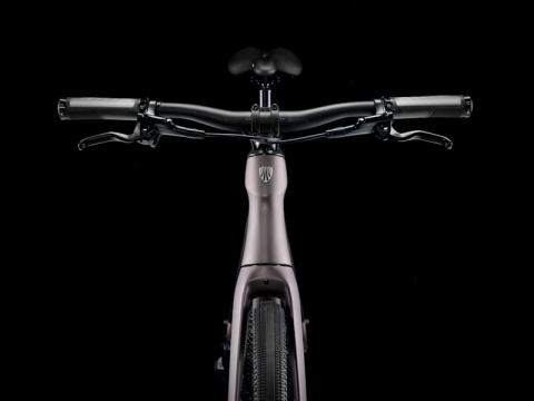 BICICLETA TREK FX SPORT 6 CARBON MATTE BRONZE AGE/DEEP SMOKE L [3]
