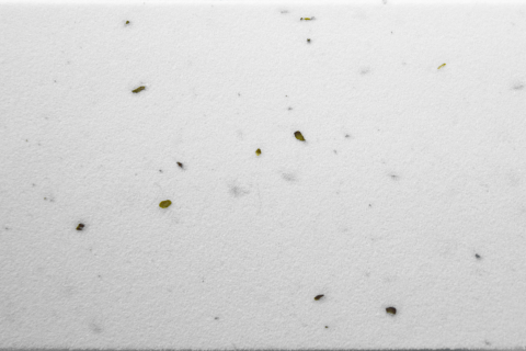 Ciclism - GHIDOLINA CUBE CORK TAPE ALB