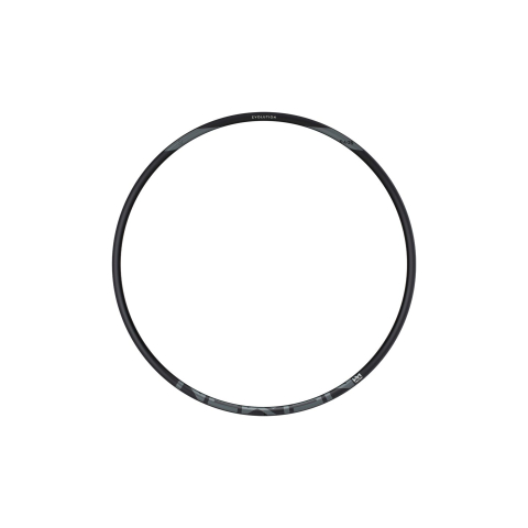 JANTA NEWMEN EVOLUTION SL X.A.25 29INCH 28H [1]