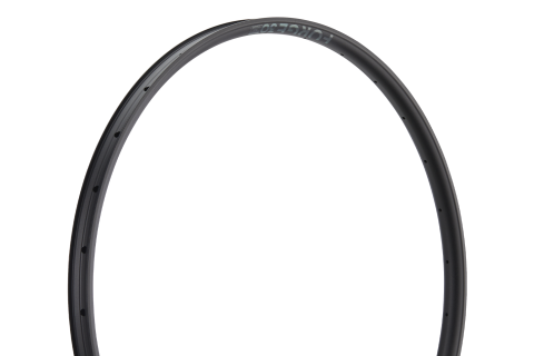 JANTA NEWMEN FORGE 30 LIGHT 28H 29inch [2]