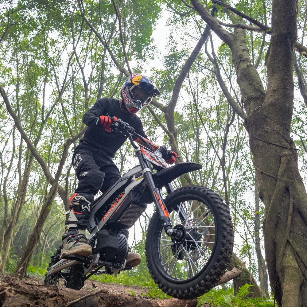 Motocicletă electrică Kukirin X1, motor de 1000W, baterie de 48V 20.8Ah [12]