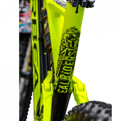 Protectie Cadru Azonic Tip Abtibild - L, Transparent [3]