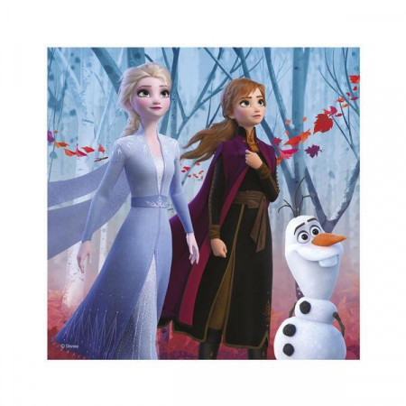 Puzzle 3 in 1 - Frozen II (3 x 55) [3]