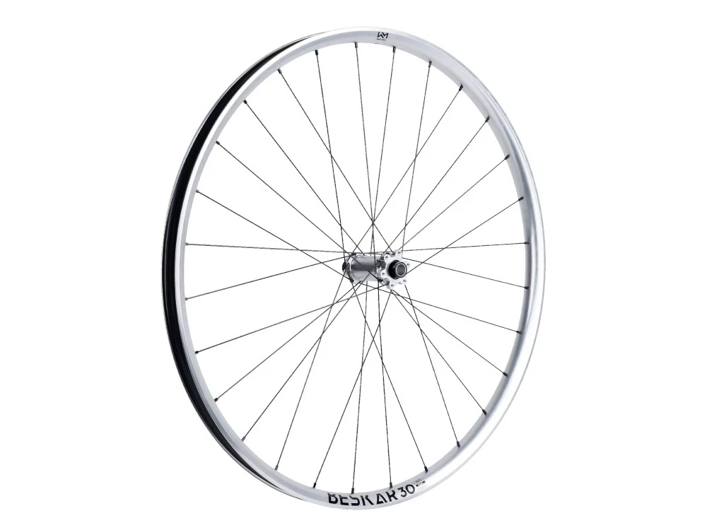 Ciclism - ROATA FATA NEWMEN BESKAR 30 BASE 29" 28H FADE SP 6B 15X110 LTD Silver