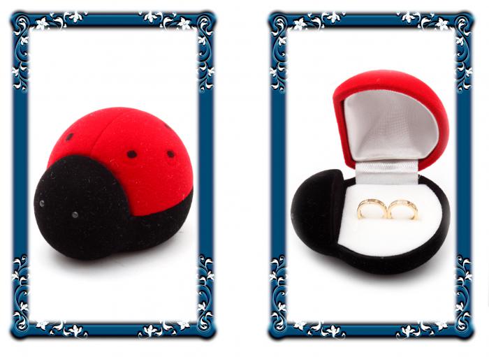 Cercei Tortite Copii Borealy Aur Galben 9 K Huggy White [3]