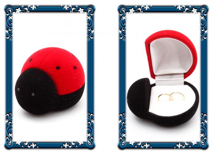 Cercei Tortite Copii Borealy Aur Galben 9 K Circle [2]