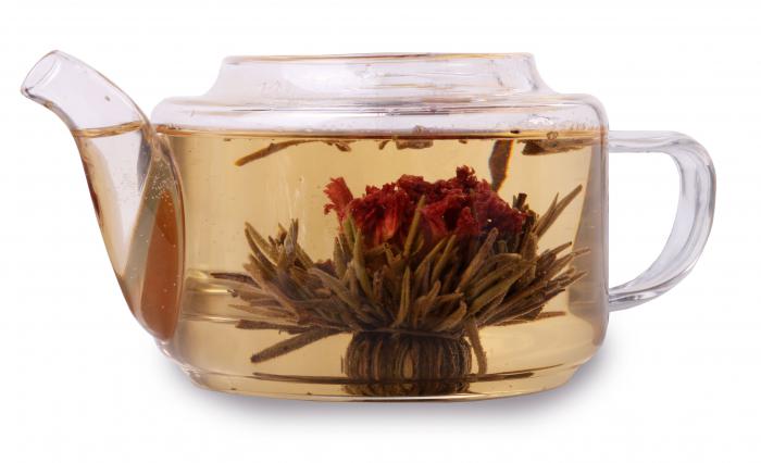 Ceainic Sticla & 10 Ceaiuri Blooming TEA [2]