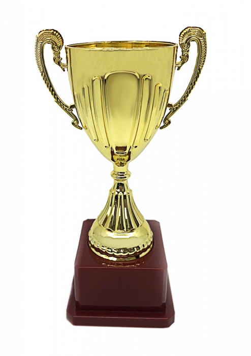 Set Cadou Personalizabil Trofeu si Medalie [2]