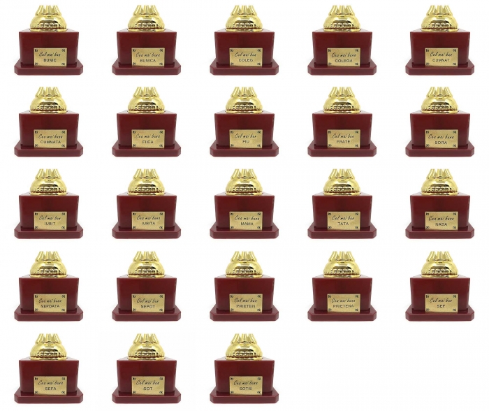 Set Cadou Personalizabil Trofeu si Medalie [5]