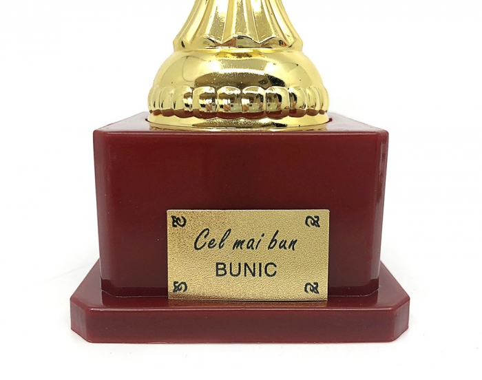 Set Cadou Personalizabil Trofeu si Medalie [6]