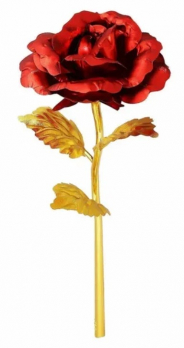 Red Golden Rose & Suport Inima [2]