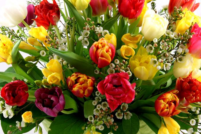 Simfonie de primavara [2]