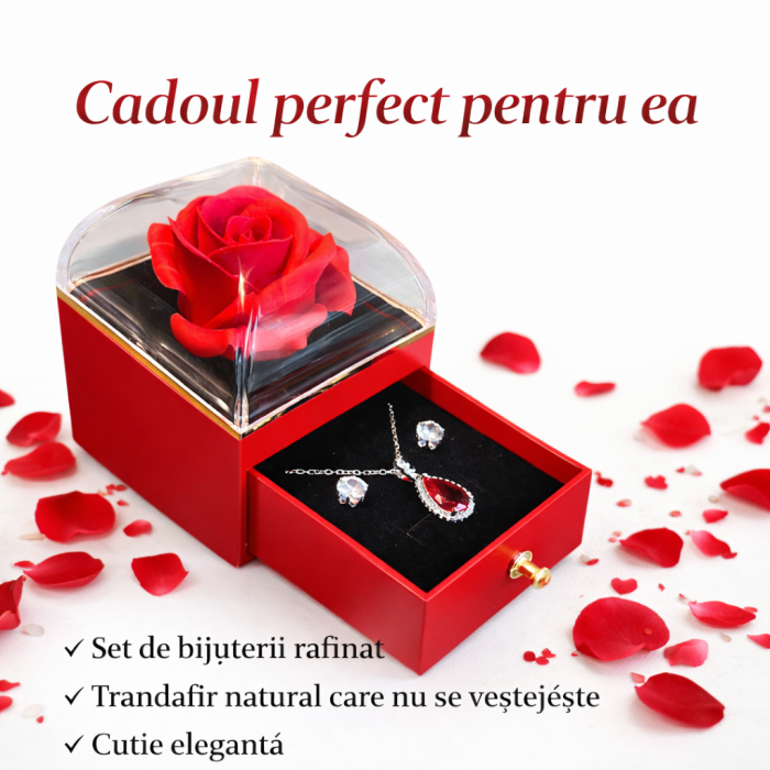Cadouri pentru Femei de Valentine’s Day – Bijuterii Elegante & Cadouri Romantice | Borealy [8]