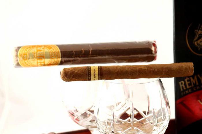 Sweet Remy Martin Cigars [2]