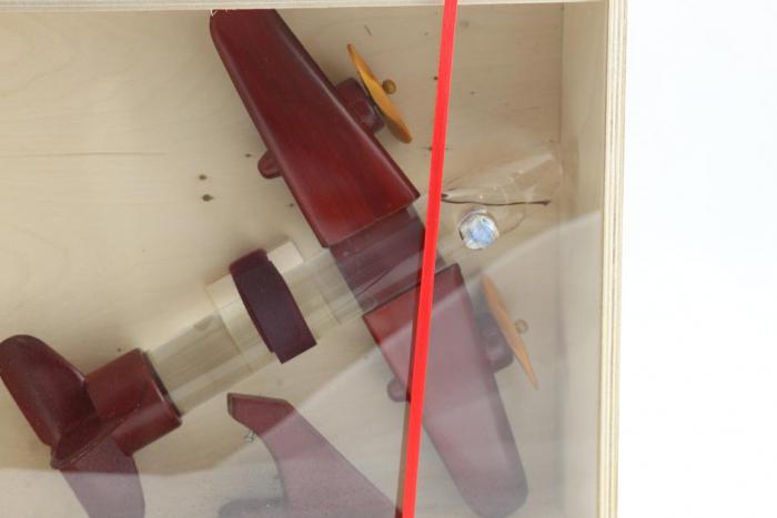 Aircraft with romanian traditional drink [2]