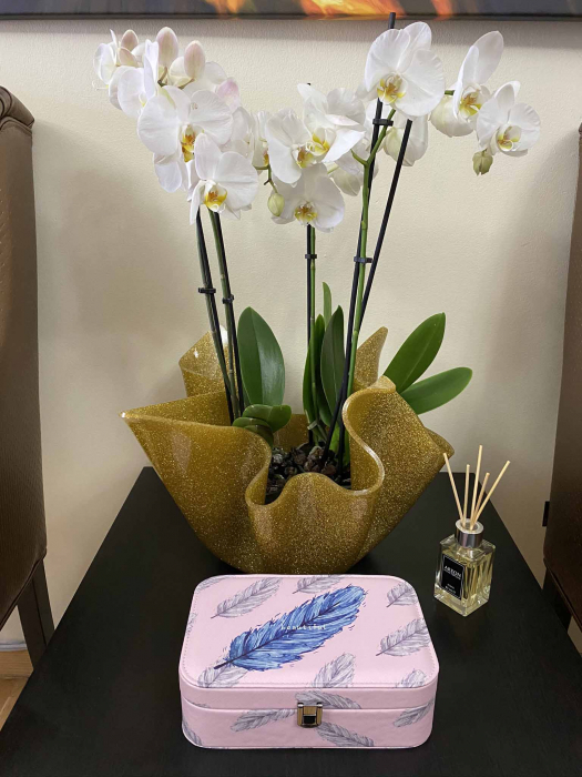 Cutie de bijuterii Beautiful Feather [5]