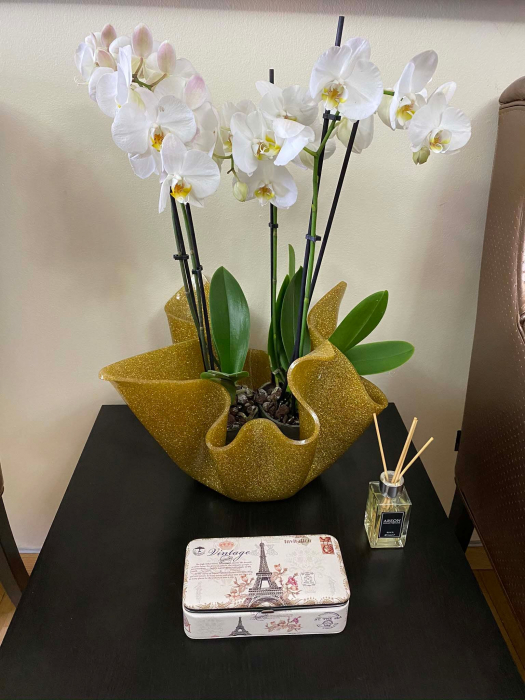 Cutie de bijuterii Eiffel Tower Vintage [4]