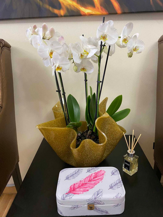 Cutie de bijuterii Light Feather Beautiful [4]