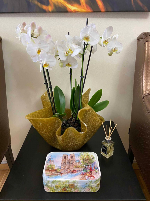 Cutie de bijuterii Notre-Dame, 22 x 14,5 [6]