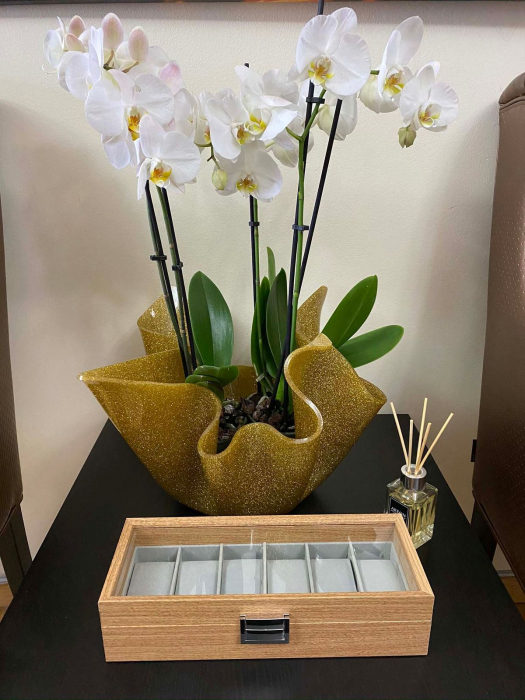 Cutie Ceasuri Caramel Brown [4]