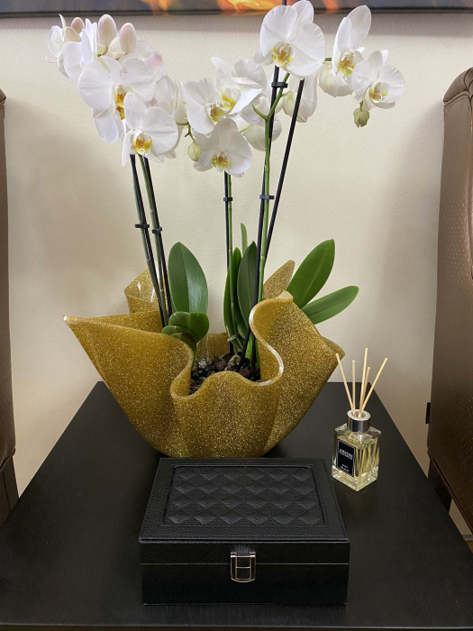 Cutie bijuterii Black Madame, 20 x 13,5 cm [5]