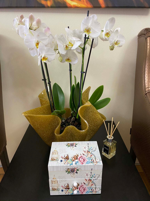 Cutie muzicala din lemn pentru bijuterii Shabby Chic [4]