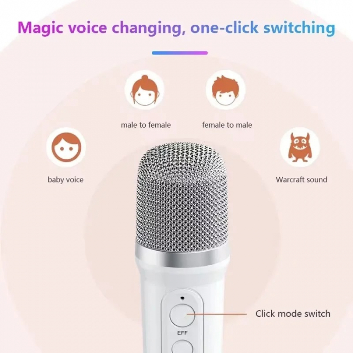 Cadou Karaoke Boxa si 1 Microfon Wireless/Bluetooth [3]