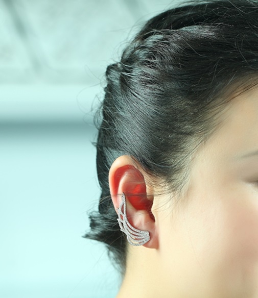 Cercei Borealy Crystal Wild Wings [2]