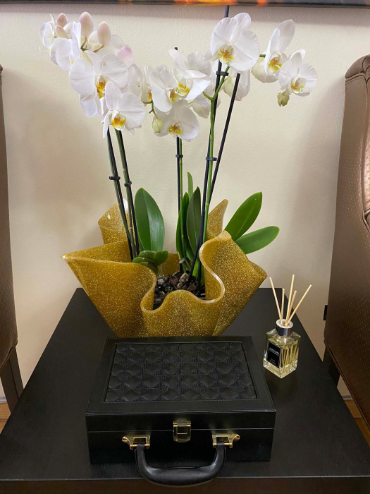 Cutie de bijuterii Black Woman, 25 x 17 cm [3]