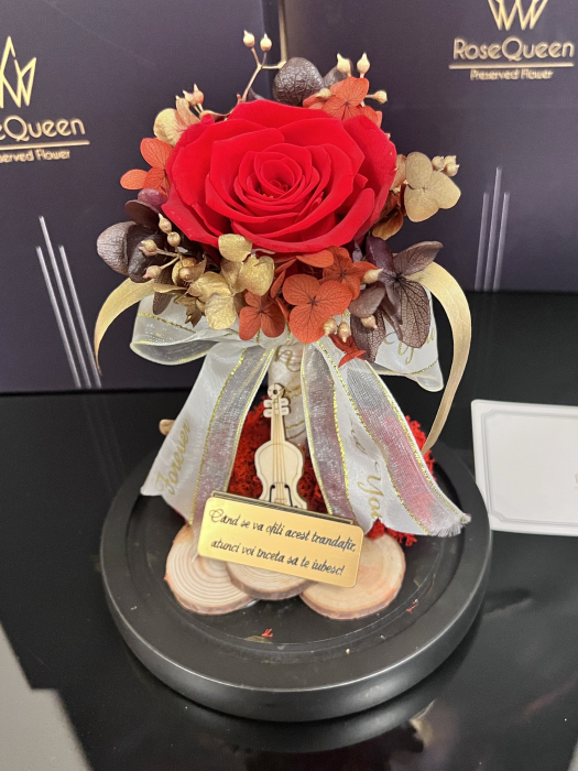 Luxury Trandafir Natural Queen [7]