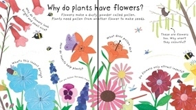 How Do Flowers Grow [2]