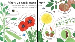 How Do Flowers Grow [3]