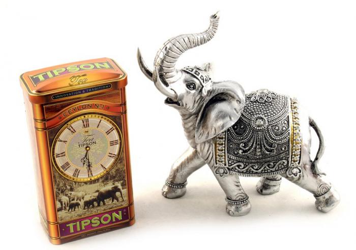 Set Cadou Horse Clock & Tipson Tea [4]