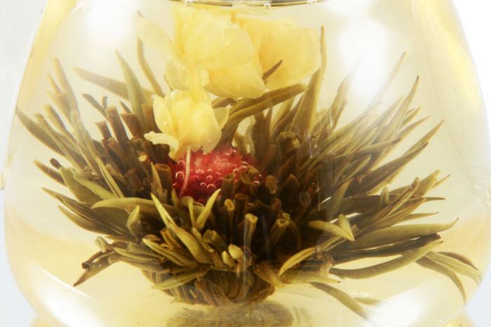 Ceai Floare Jasmine & Lilly Blooming flower cu ceainic sticla de lux [1]