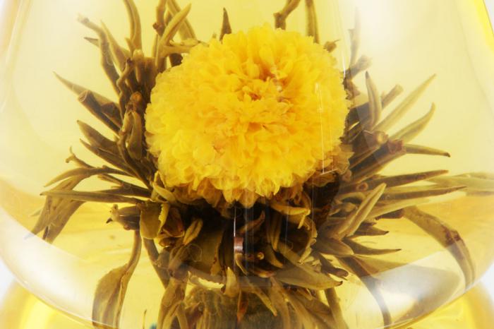 Ceainic Sticla & 10 Ceaiuri Blooming TEA [9]