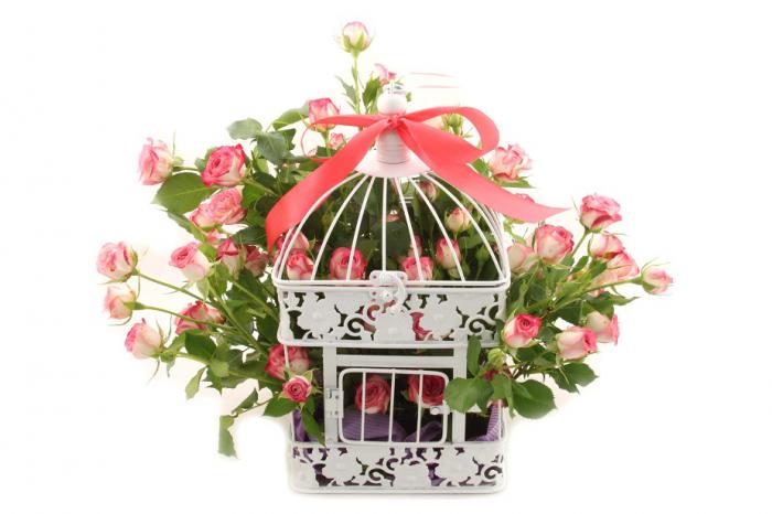 101 Roses "Chained To Love" [4]