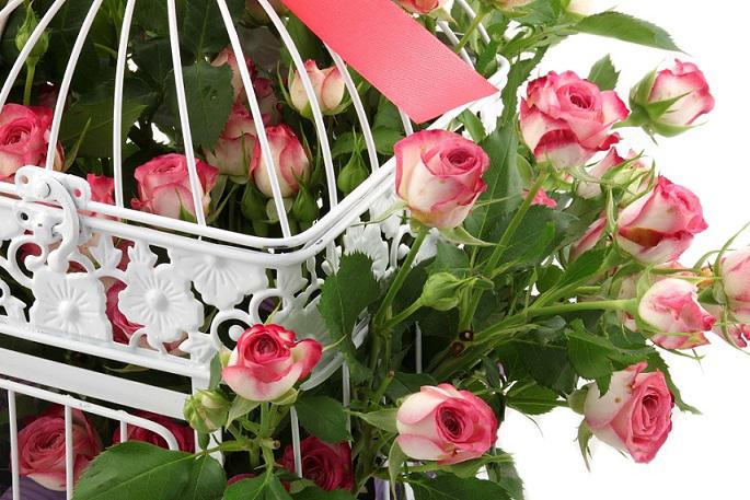 101 Roses "Chained To Love" [2]