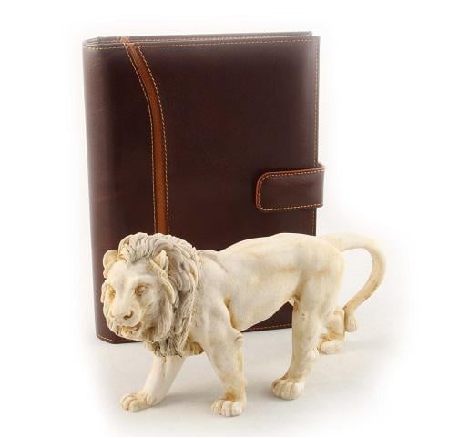 Leo & Brown Leather Notebook [1]