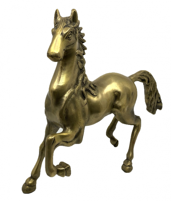 Victorious Horse - Statueta Cal din Bronz, 32 x 26 cm [2]