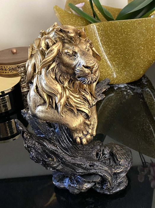 Magnificent Lion King [4]