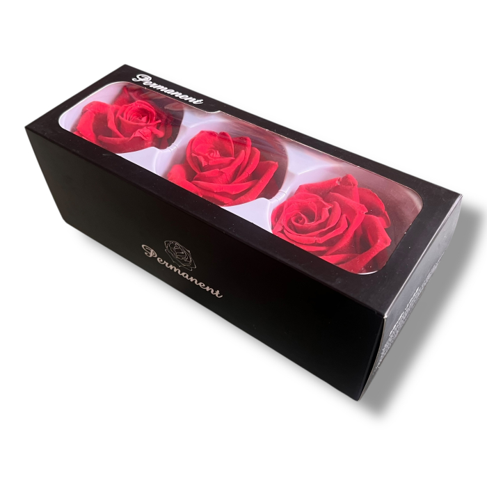 Set 3 Trandafiri Criogenati [4]