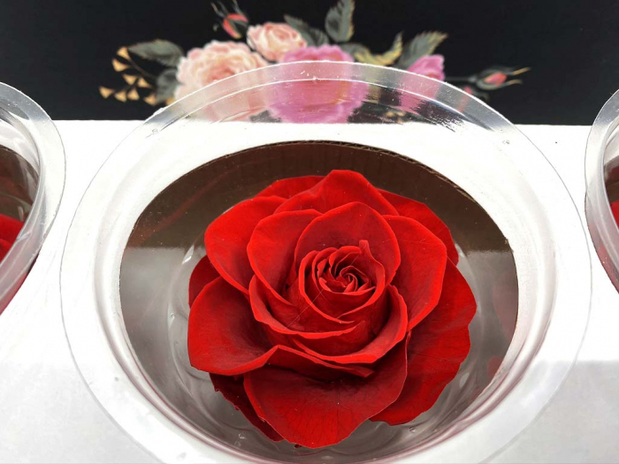 Set 3 Trandafiri Criogenati [4]