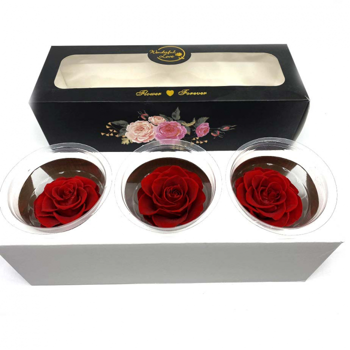Set 3 Trandafiri Criogenati [2]