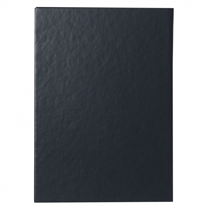 Set Agendă Ungaro și Cravata Matase Borealy [4]