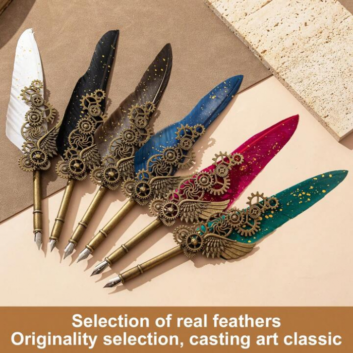 Set Cadou Caligrafie Vintage cu Pana si Accesorii [4]