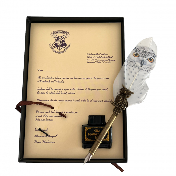 Set Caligrafie Harry Potter - Pana de scris si calimara desk [3]